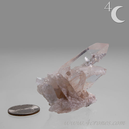 Our Lithium Quartz crystals are to die for. These dazzling specimens are astonishingly crystal clear with the softest touches of pinks and mauves. The Lumerian lines are so crisp and clean you can almost hear the ancient stories pouring out of them. These beauties will take your breath away, we kid you not. www.4crones.com