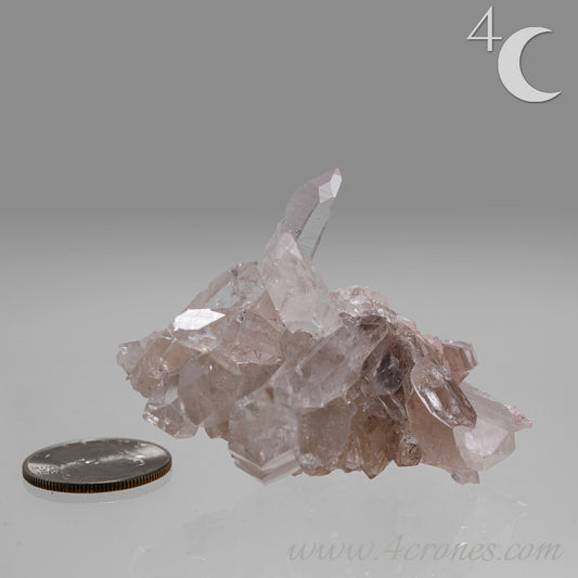 Our Lithium Quartz crystals are to die for. These dazzling specimens are astonishingly crystal clear with the softest touches of pinks and mauves. The Lumerian lines are so crisp and clean you can almost hear the ancient stories pouring out of them. These beauties will take your breath away, we kid you not. www.4crones.com