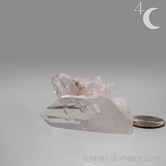 Our Lithium Quartz crystals are to die for. These dazzling specimens are astonishingly crystal clear with the softest touches of pinks and mauves. The Lumerian lines are so crisp and clean you can almost hear the ancient stories pouring out of them. These beauties will take your breath away, we kid you not. www.4crones.com