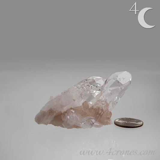 Our Lithium Quartz crystals are to die for. These dazzling specimens are astonishingly crystal clear with the softest touches of pinks and mauves. The Lumerian lines are so crisp and clean you can almost hear the ancient stories pouring out of them. These beauties will take your breath away, we kid you not. www.4crones.com