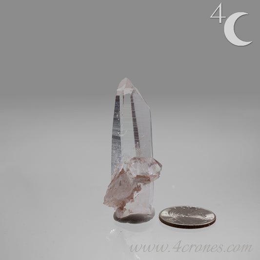 Our Lithium Quartz crystals are to die for. These dazzling specimens are astonishingly crystal clear with the softest touches of pinks and mauves. The Lumerian lines are so crisp and clean you can almost hear the ancient stories pouring out of them. These beauties will take your breath away, we kid you not. www.4crones.com