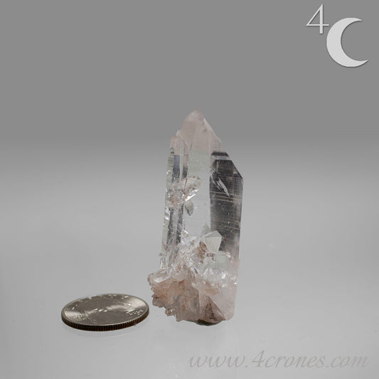 Our Lithium Quartz crystals are to die for. These dazzling specimens are astonishingly crystal clear with the softest touches of pinks and mauves. The Lumerian lines are so crisp and clean you can almost hear the ancient stories pouring out of them. These beauties will take your breath away, we kid you not. www.4crones.com