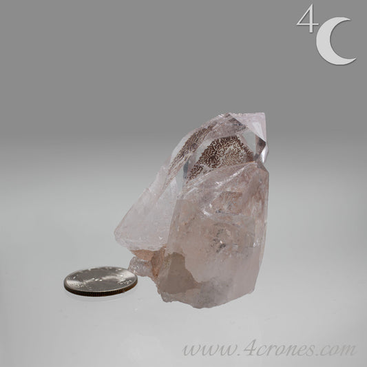 Our Lithium Quartz crystals are to die for. These dazzling specimens are astonishingly crystal clear with the softest touches of pinks and mauves. The Lumerian lines are so crisp and clean you can almost hear the ancient stories pouring out of them. These beauties will take your breath away, we kid you not. www.4crones.com