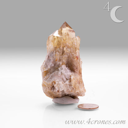 Kundalini Citrine Quartz is a stunning and rare variety of Citrine found exclusively in the Democratic Republic of Congo. This Natural Citrine is also characterized by a distinct formation of multiple terminated smaller Kundalini Quartz crystals.