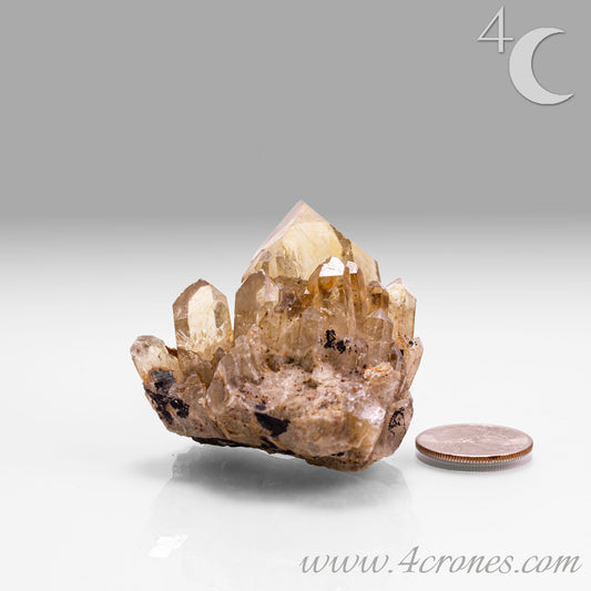 Kundalini Citrine Quartz is a stunning and rare variety of Citrine found exclusively in the Democratic Republic of Congo. This Natural Citrine is also characterized by a distinct formation of multiple terminated smaller Kundalini Quartz crystals.