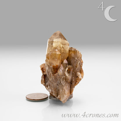 Kundalini Citrine Quartz is a stunning and rare variety of Citrine found exclusively in the Democratic Republic of Congo. This Natural Citrine is also characterized by a distinct formation of multiple terminated smaller Kundalini Quartz crystals.