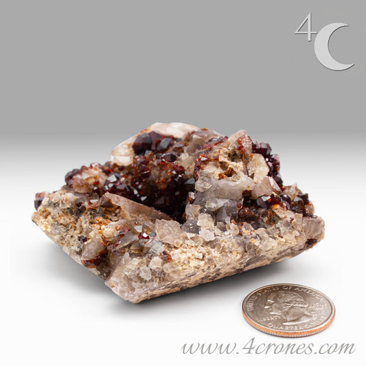 These gemmy Garnets are known as Spessartine Red Garnets, and they encrust and surround beautiful Smoky Quartz crystals on microcline feldspar matrices.  The mine these specimens come from is known for the beautiful blingy red- and orange-colored garnets that they yield. www.4crones.com