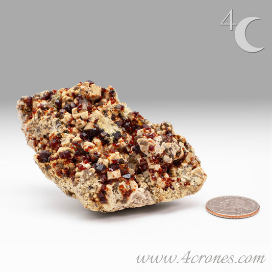 These gemmy Garnets are known as Spessartine Red Garnets, and they encrust and surround beautiful Smoky Quartz crystals on microcline feldspar matrices.  The mine these specimens come from is known for the beautiful blingy red- and orange-colored garnets that they yield. www.4crones.com