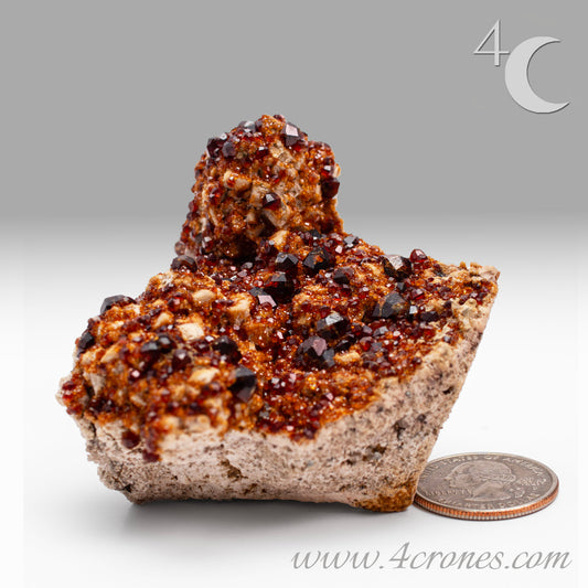 These gemmy Garnets are known as Spessartine Red Garnets, and they encrust and surround beautiful Smoky Quartz crystals on microcline feldspar matrices.  The mine these specimens come from is known for the beautiful blingy red- and orange-colored garnets that they yield. www.4crones.com