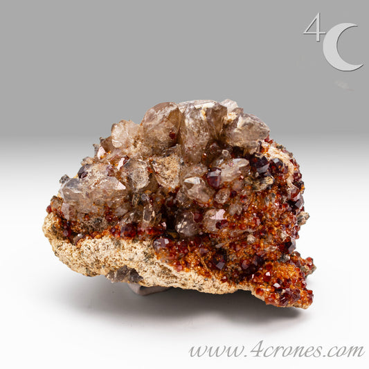 These gemmy Garnets are known as Spessartine Red Garnets, and they encrust and surround beautiful Smoky Quartz crystals on microcline feldspar matrices.  The mine these specimens come from is known for the beautiful blingy red- and orange-colored garnets that they yield. www.4crones.com