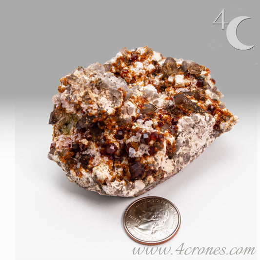 These gemmy Garnets are known as Spessartine Red Garnets, and they encrust and surround beautiful Smoky Quartz crystals on microcline feldspar matrices.  The mine these specimens come from is known for the beautiful blingy red- and orange-colored garnets that they yield. www.4crones.com