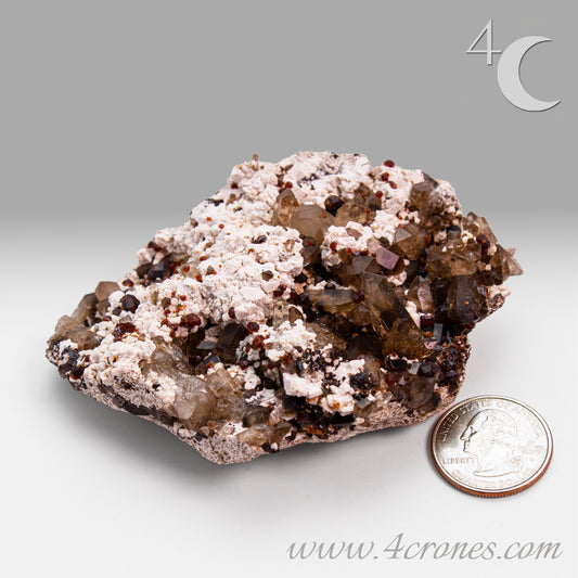 These gemmy Garnets are known as Spessartine Red Garnets, and they encrust and surround beautiful Smoky Quartz crystals on microcline feldspar matrices.  The mine these specimens come from is known for the beautiful blingy red- and orange-colored garnets that they yield. www.4crones.com