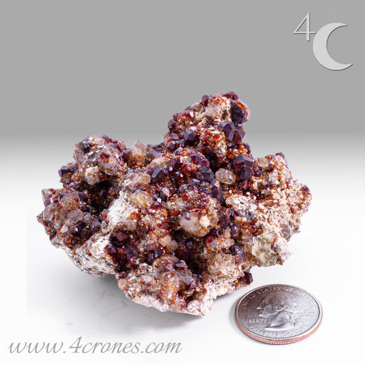 These gemmy Garnets are known as Spessartine Red Garnets, and they encrust and surround beautiful Smoky Quartz crystals on microcline feldspar matrices.  The mine these specimens come from is known for the beautiful blingy red- and orange-colored garnets that they yield. www.4crones.com