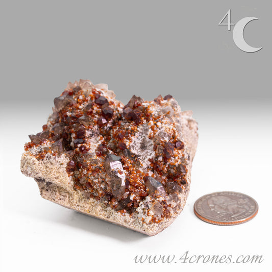 These gemmy Garnets are known as Spessartine Red Garnets, and they encrust and surround beautiful Smoky Quartz crystals on microcline feldspar matrices.  The mine these specimens come from is known for the beautiful blingy red- and orange-colored garnets that they yield. www.4crones.com