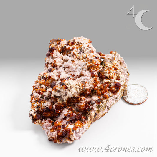 These gemmy Garnets are known as Spessartine Red Garnets, and they encrust and surround beautiful Smoky Quartz crystals on microcline feldspar matrices.  The mine these specimens come from is known for the beautiful blingy red- and orange-colored garnets that they yield. www.4crones.com