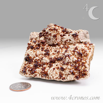 These gemmy Garnets are known as Spessartine Red Garnets, and they encrust and surround beautiful Smoky Quartz crystals on microcline feldspar matrices.  The mine these specimens come from is known for the beautiful blingy red- and orange-colored garnets that they yield. www.4crones.com