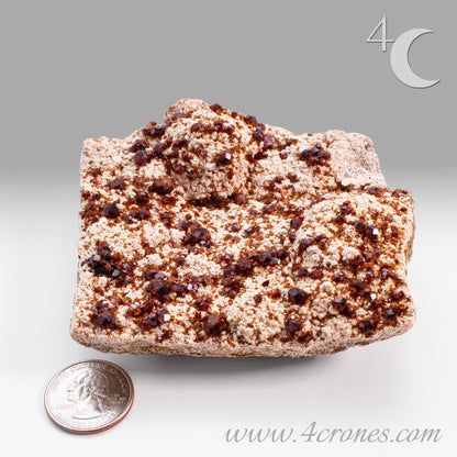 These gemmy Garnets are known as Spessartine Red Garnets, and they encrust and surround beautiful Smoky Quartz crystals on microcline feldspar matrices.  The mine these specimens come from is known for the beautiful blingy red- and orange-colored garnets that they yield. www.4crones.com