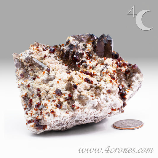 These gemmy Garnets are known as Spessartine Red Garnets, and they encrust and surround beautiful Smoky Quartz crystals on microcline feldspar matrices.  The mine these specimens come from is known for the beautiful blingy red- and orange-colored garnets that they yield. www.4crones.com