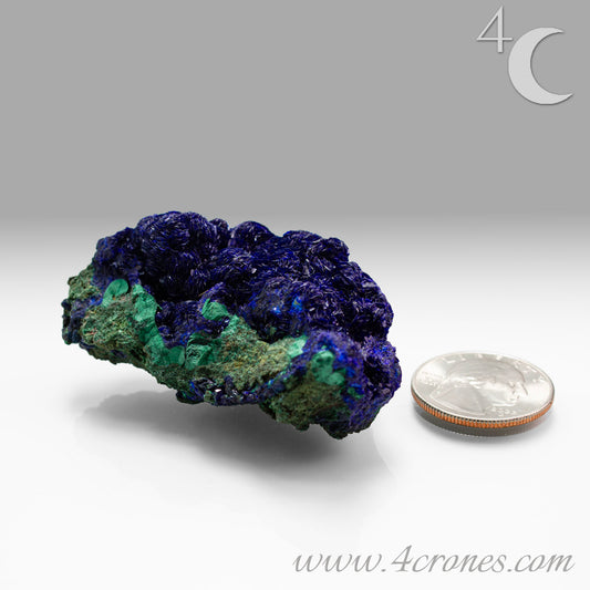 4 Crones Azurite-Malachite specimens are so luscious, with spectacular gemmy azurite crystals showing off the heavenly deep blue colors they are renowned for. They can be found in combination with Malachite acting as a “matrix” of sorts. Azurite is often found in nature mixed with Malachite. With more water content Azurite becomes Malachite. We think of them as siblings whose differing energies complement each other:) www.4crones.com