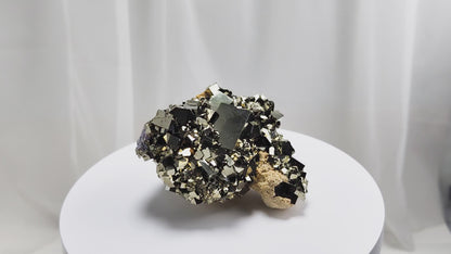 Shangbao Pyrite is a variety of pyrite, a sulfide mineral with the chemical formula FeS₂. Known for its metallic luster and brassy gold color, pyrite crystallizes in the isometric system, often forming cubic, octahedral, or pyritohedral crystals.